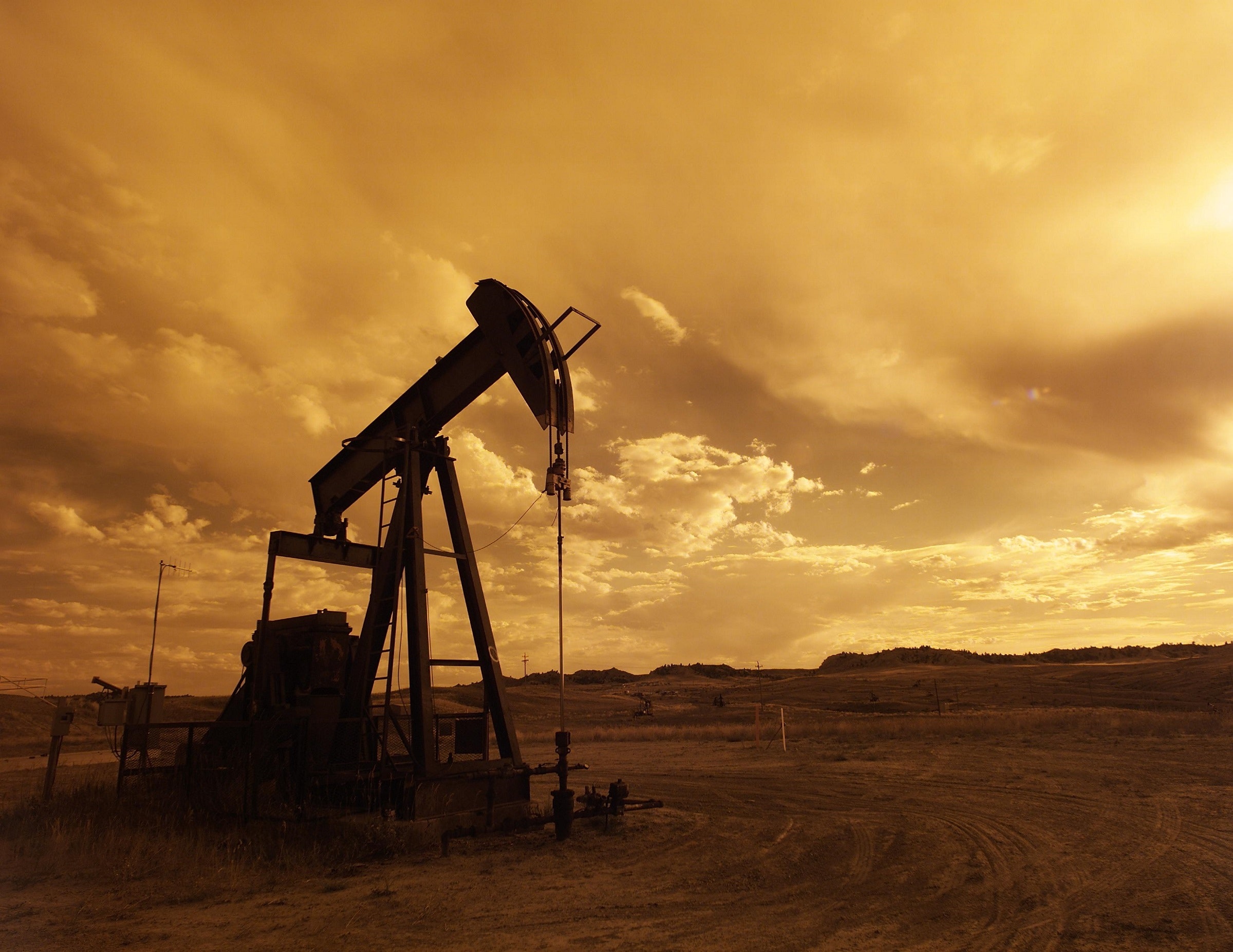 Oil drill